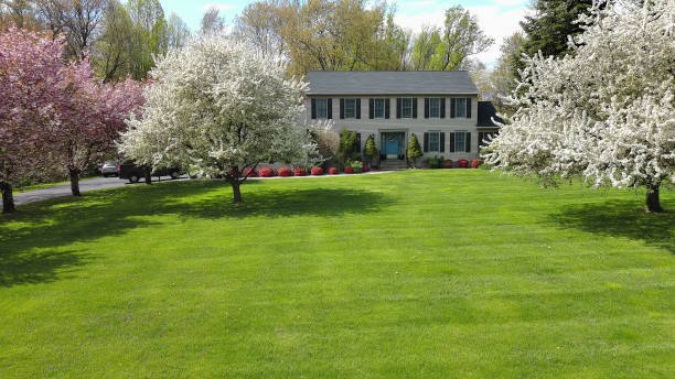What Makes Greensleeves Lawn Care Different from Other Lawn Services? 3 Greensleeves leads