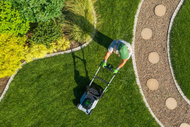 What Makes Greensleeves Lawn Care Different from Other Lawn Services? 4 Local Lawn Experts with National Support