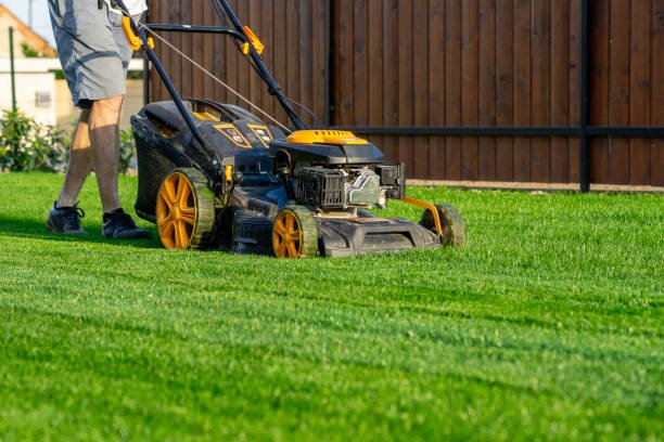 What Makes Greensleeves Lawn Care Different from Other Lawn Services? 2 Unique Services That Set Them Apart